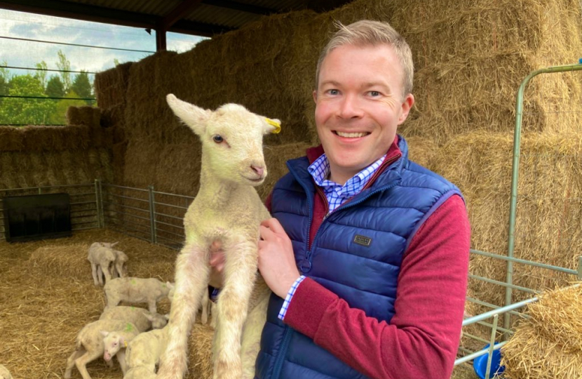  Bradley holding a lamb
