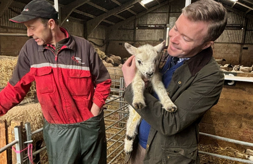Bradley holding a new-born lamb 